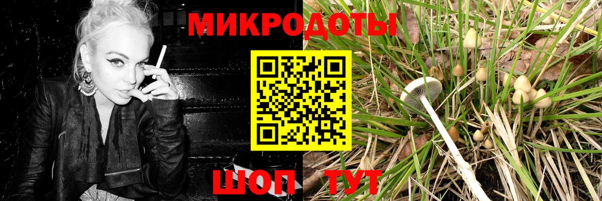 Псилоцибиновые грибы мицелий  где купить наркотик  Татарск  Вход с VPN 